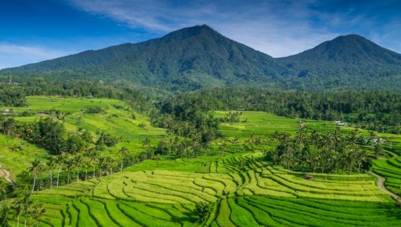 Breathtaking Jatiluwih: Bali’s Stunning UNESCO World Heritage Site