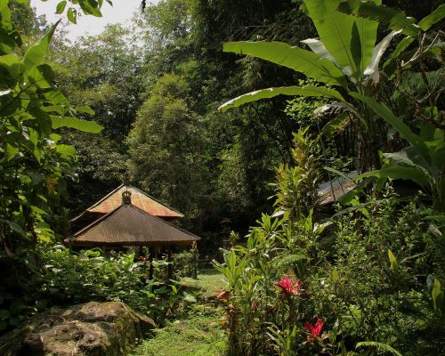 Bali Karu