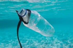 Bali Bans Plastic Bottled Water Starting the 3rd of February, 2025