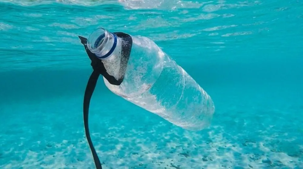 Bali Bans Plastic Bottled Water Starting the 3rd of February, 2025