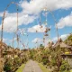 Penglipuran Village Wins Environmental Award Amid Rising Tourist Interest
